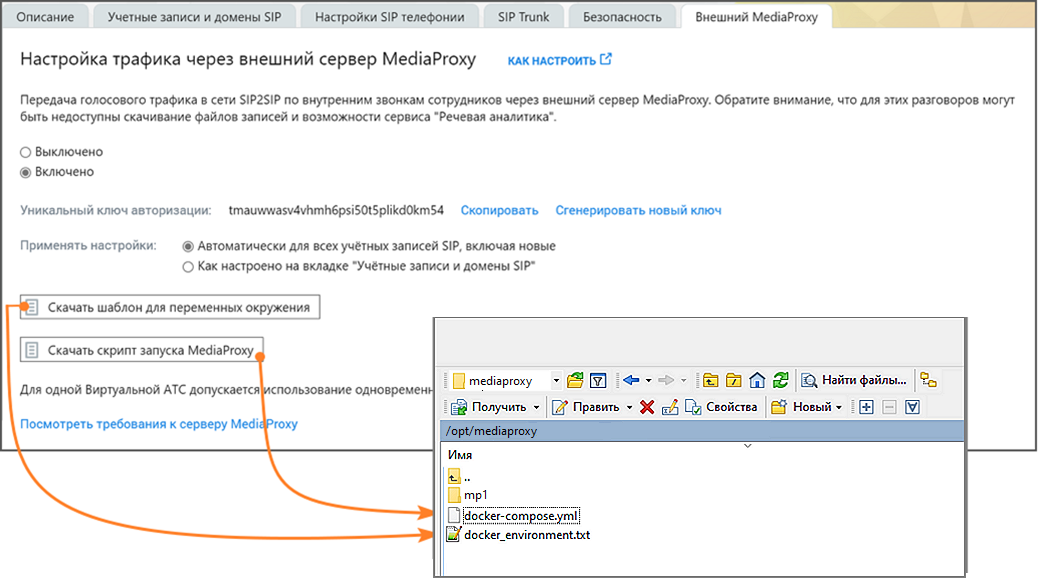 Сохранение docker-environment.txt